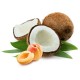 Apricot - Coconut