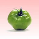 Green tomato - Anis